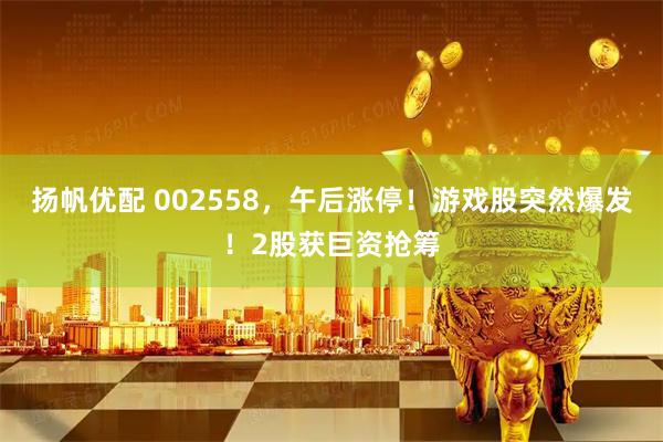 扬帆优配 002558，午后涨停！游戏股突然爆发！2股获巨资抢筹